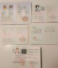 付利伟 - 图片 14