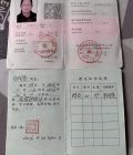谷润香 - 图片 22