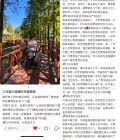 付利伟 - 图片 8